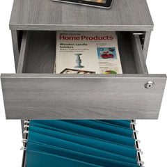Carreiro 15.75'' Wide 2 Drawer Mobile Vertical Filing Cabinet Indoor Design