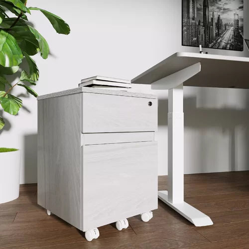 Carreiro 15.75'' Wide 2 Drawer Mobile Vertical Filing Cabinet Indoor Design
