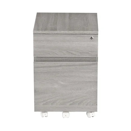Carreiro 15.75'' Wide 2 Drawer Mobile Vertical Filing Cabinet Indoor Design