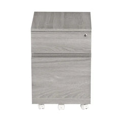 Carreiro 15.75'' Wide 2 Drawer Mobile Vertical Filing Cabinet Indoor Design