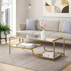 Chadric Coffee Table with Storage Eye Catching Floral Display Design