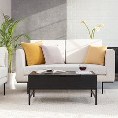 Black Clearfield Lift Top 4 Legs Coffee Table with Storage