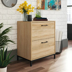 Charter Oak Clower 23.47'' Wide 2 -Drawer Vertical Filing Cabinet Design
