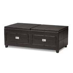 Daveney Lift Top Coffee Table Perfect for Living Room with Plenty Storage Space