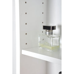 Drakeford Recessed/Surface Mount Framed Medicine Cabinet with 2 Adjustable Shelves