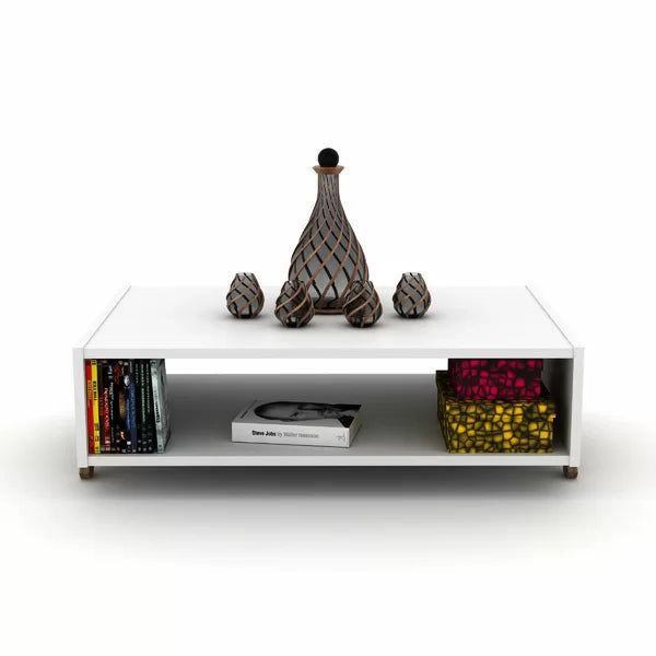 Etelvina Cross Legs Coffee Table with Storage Contemporary Style