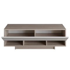 Gess TV Stand for TVs up to 50" Offering Ample Storage Space for Media Collections
