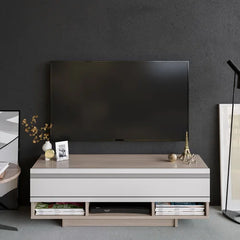 Gess TV Stand for TVs up to 50" Offering Ample Storage Space for Media Collections