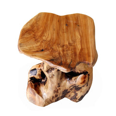 Cedar Roots Natural Flower Stand Reclaimed Woods End Table Bring your Home Beauty of Nature Decoratively Display