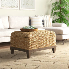 Jamel 30'' Wide Rectangle Storage Ottoman with Storage