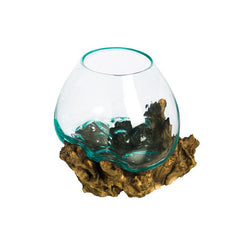Glass Terrarium Brighten your Home or Patio with this Ocean-Themed Planter. The Glass Bowl Sits On A Piece of Driftwood Natural Gimbal Tree Root