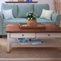 Kapp Coffee Table with Storage Eye Catching Floral Display Indoor Design
