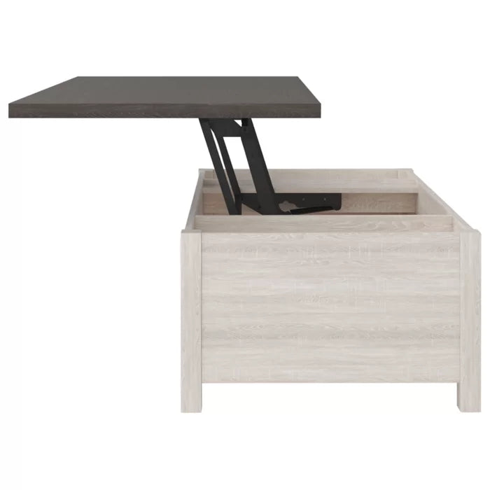 Kellam Lift Top Coffee Table with Storage Farmhouse Design