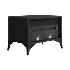 Black Lamerle 17.7'' Tall 2 - Drawer Modern Nightstand Perfect for Bedside