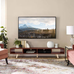 Walnut Mid-century TV Stand for TVs up to 60" Desktop for you to Decorate Things you Want