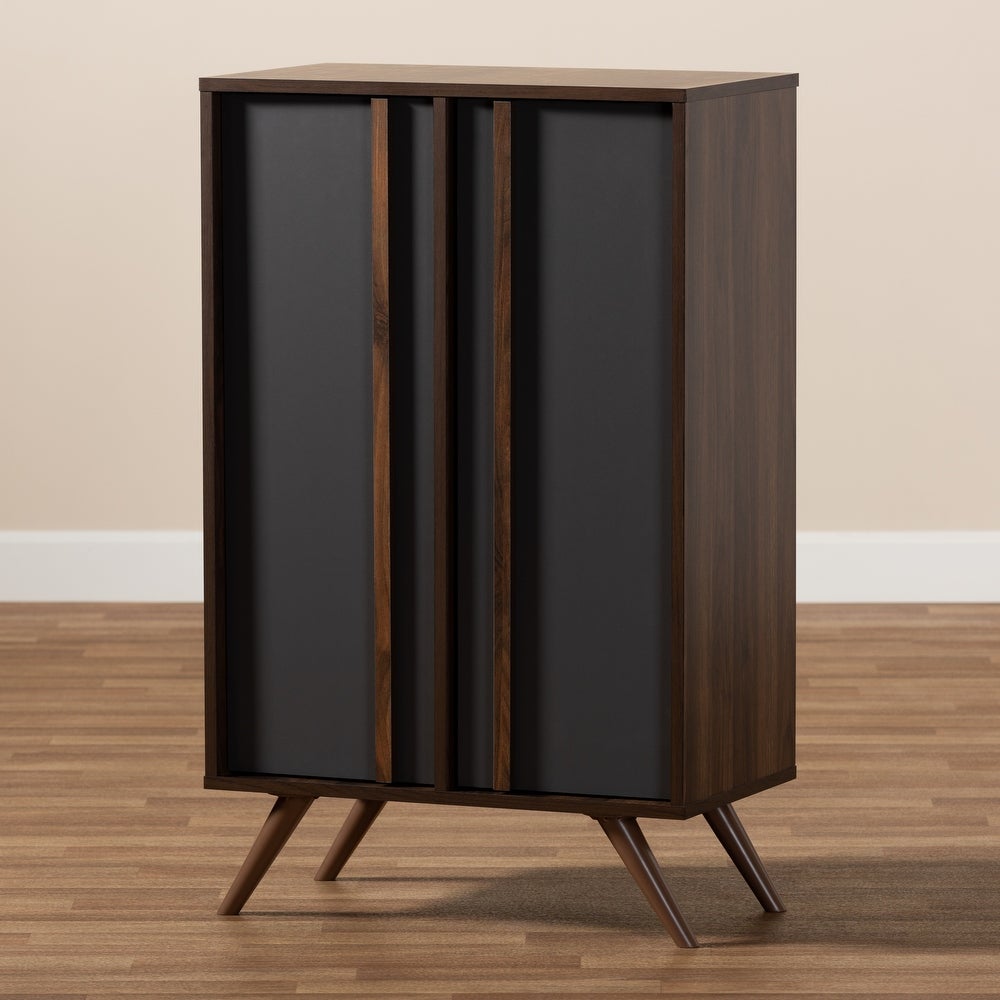 Modern and Contemporary 2-Door Shoe Cabinet Five Shelves with Space to Store up to 15 Pairs of Shoes