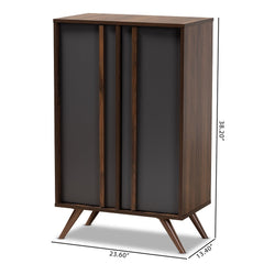 Modern and Contemporary 2-Door Shoe Cabinet Five Shelves with Space to Store up to 15 Pairs of Shoes