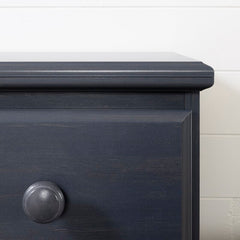 Blueberry 29.75'' Wide 5 - Drawer Chest Perfect for Tucking Away T-Shirts and Pants Great for Adding Organization