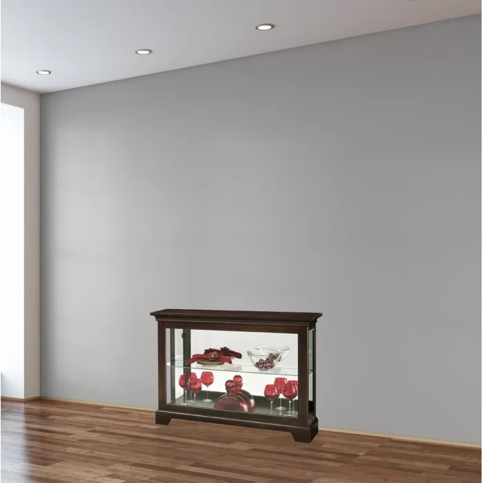 Espresso Petterson 47.25'' Wide Mirrored Back Curio Cabinet with Lighting