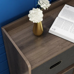 Raghul 5 Drawer 31.4'' W Double Dresser Removable Fabric Drawers