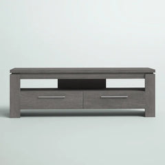 Dark Gray Rorie TV Stand for TVs up to 65" Anchors your Living Room in Modern Style