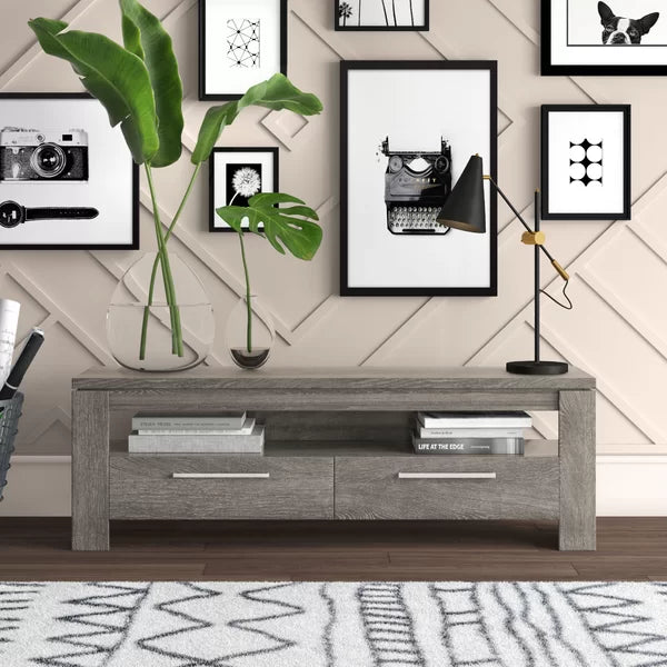 Dark Gray Rorie TV Stand for TVs up to 65" Anchors your Living Room in Modern Style