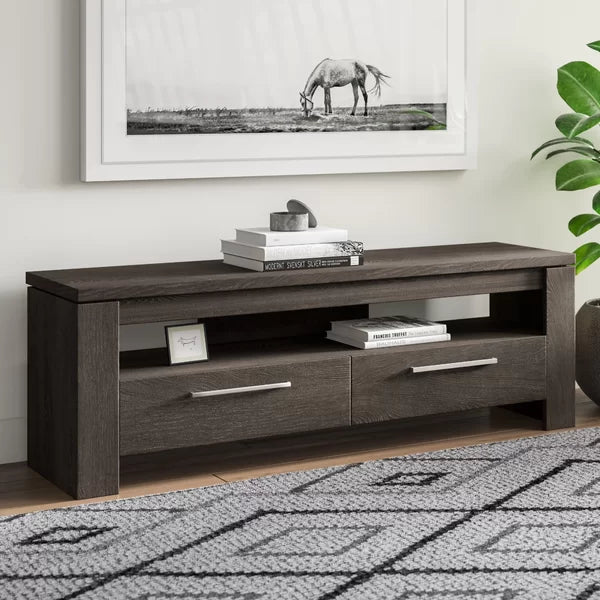 Dark Gray Rorie TV Stand for TVs up to 65" Anchors your Living Room in Modern Style