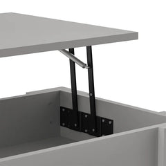 Gray Rothrock Lift Top 4 Legs Coffee Table with Storage Manufactured Wood
