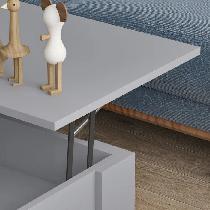 Gray Rothrock Lift Top 4 Legs Coffee Table with Storage Manufactured Wood