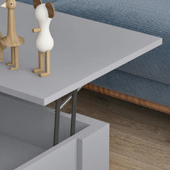 Gray Rothrock Lift Top 4 Legs Coffee Table with Storage Manufactured Wood