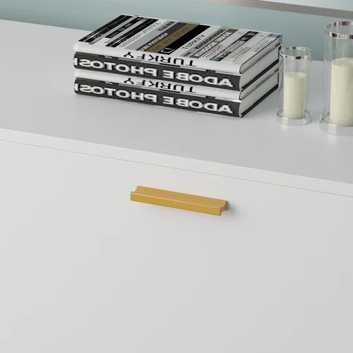 White Stainless Steel 2 Door Accent Cabinet Supplies Organized