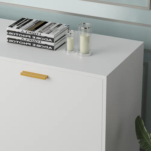 White Stainless Steel 2 Door Accent Cabinet Supplies Organized
