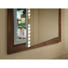 30" H x 20" W x 4.75" D Aluminum Medicine Cabinet Adjustable Magnifying Mirror Slow-Close Door