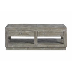 Warner Solid Wood Coffee Table with Storage Perfect Organize