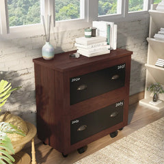 Zakhar 31.5'' Wide 2 -Drawer Mobile Lateral Filing Cabinet Farmhouse Style